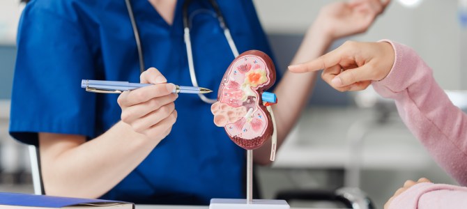 Kidney Health and Nephrology Consultations | Los Banos Primary Care